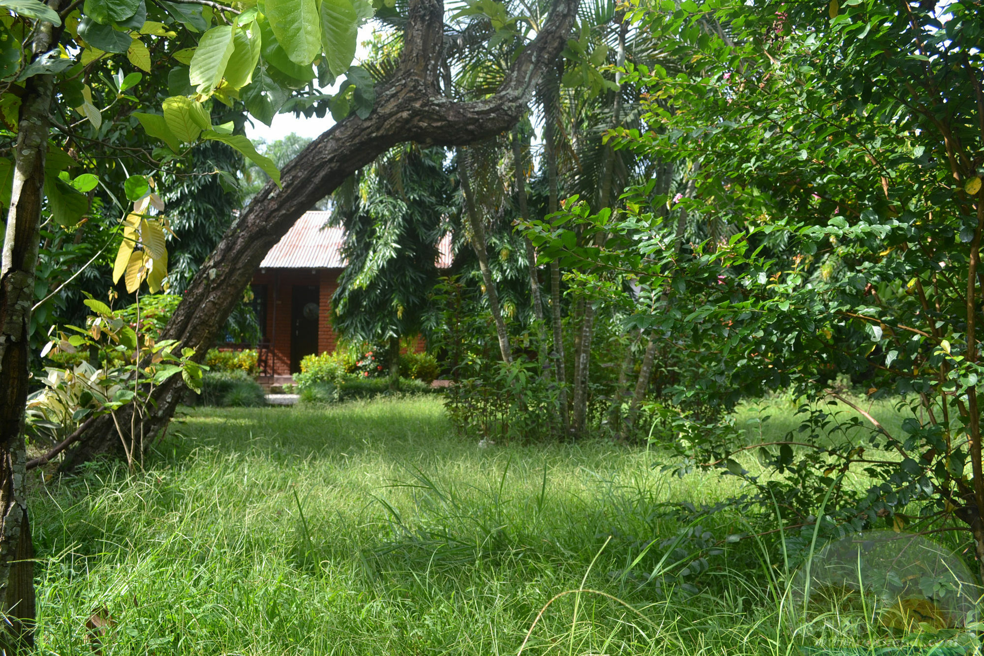 River View Jungle Camp ソーラハ エクステリア 写真