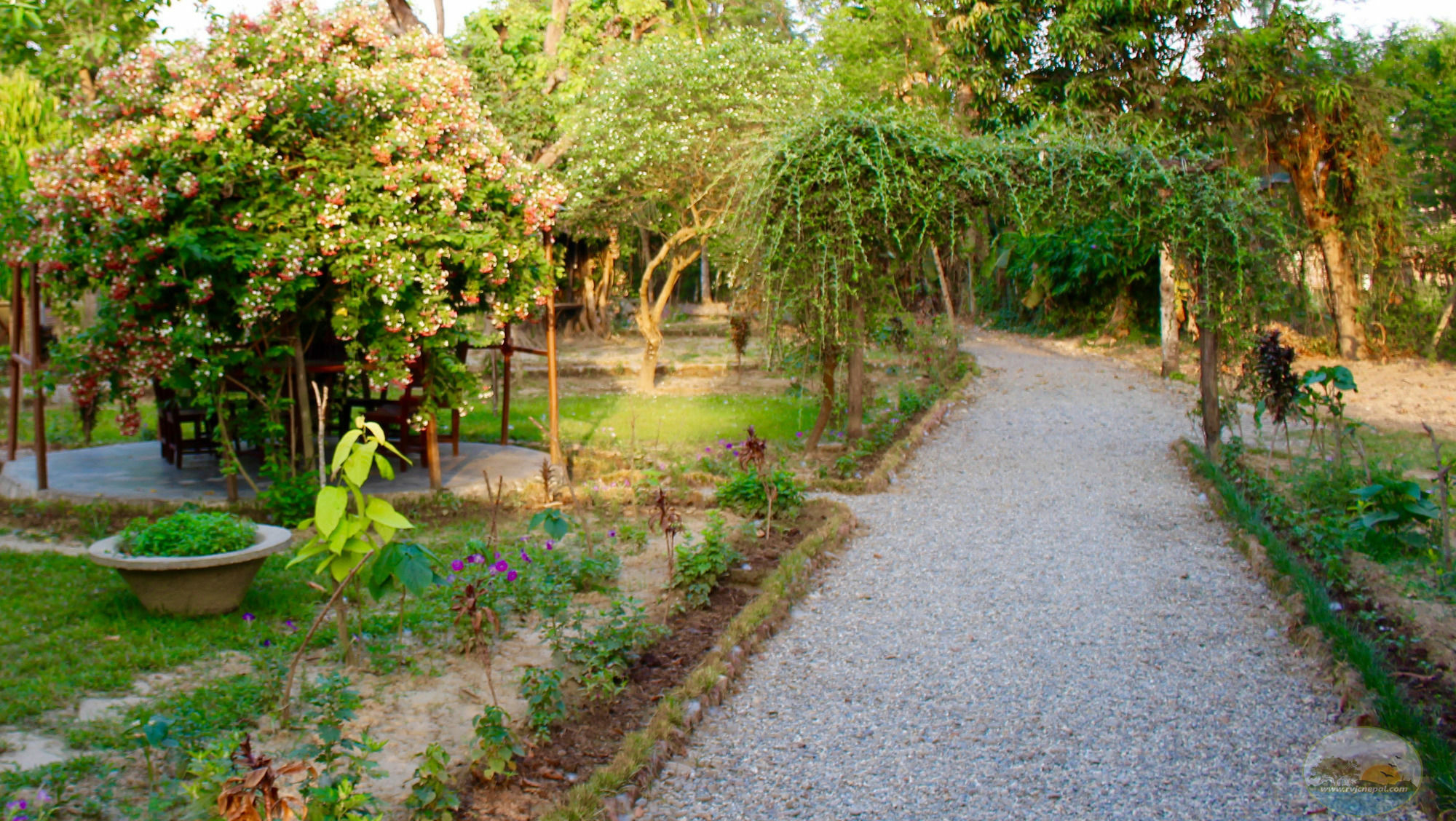 River View Jungle Camp ソーラハ エクステリア 写真